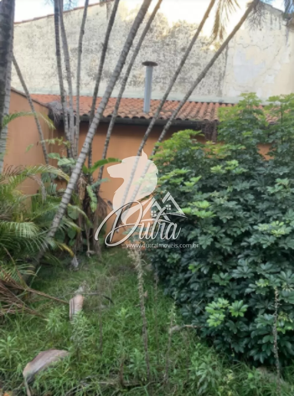 Padrão Jardim Europa 240m² 03 Dormitórios 02 Suítes 3 Vagas