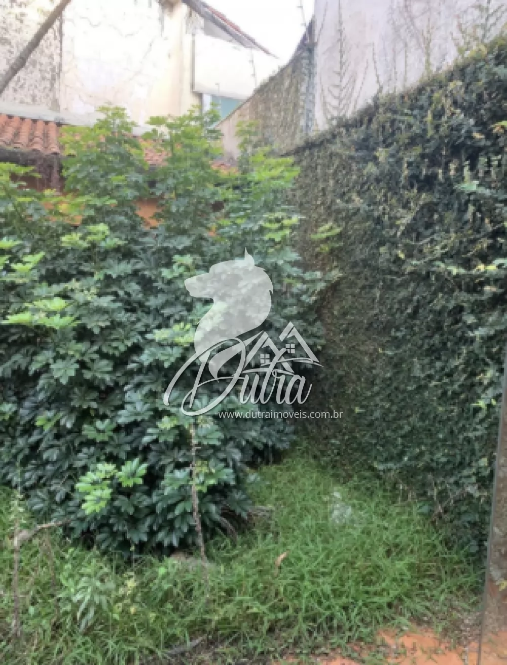 Padrão Jardim Europa 240m² 03 Dormitórios 02 Suítes 3 Vagas