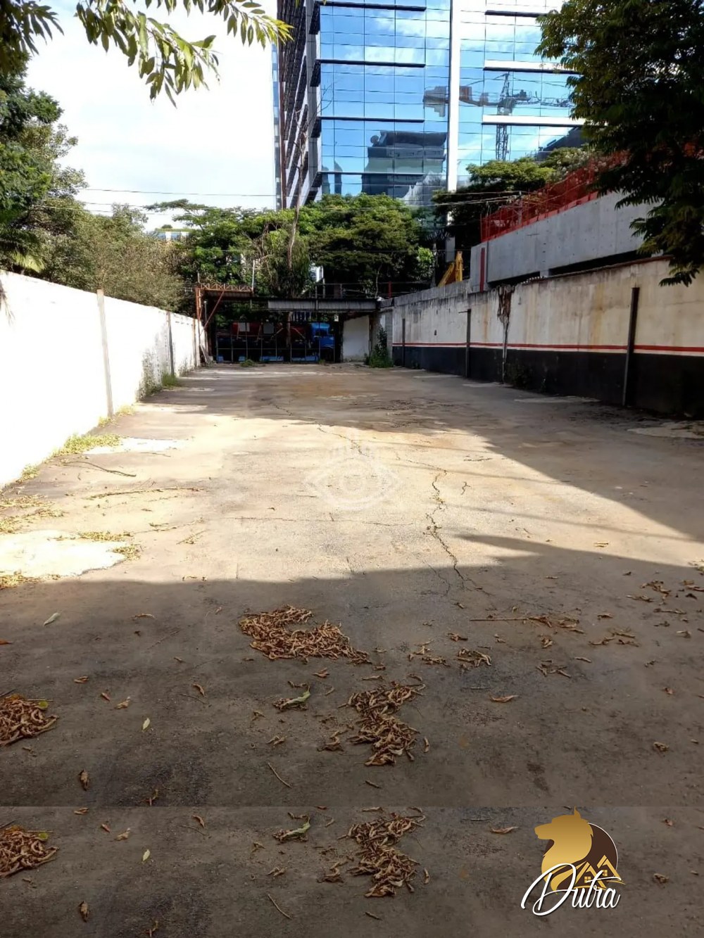 Terreno Padrão Vila Olímpia 425m²