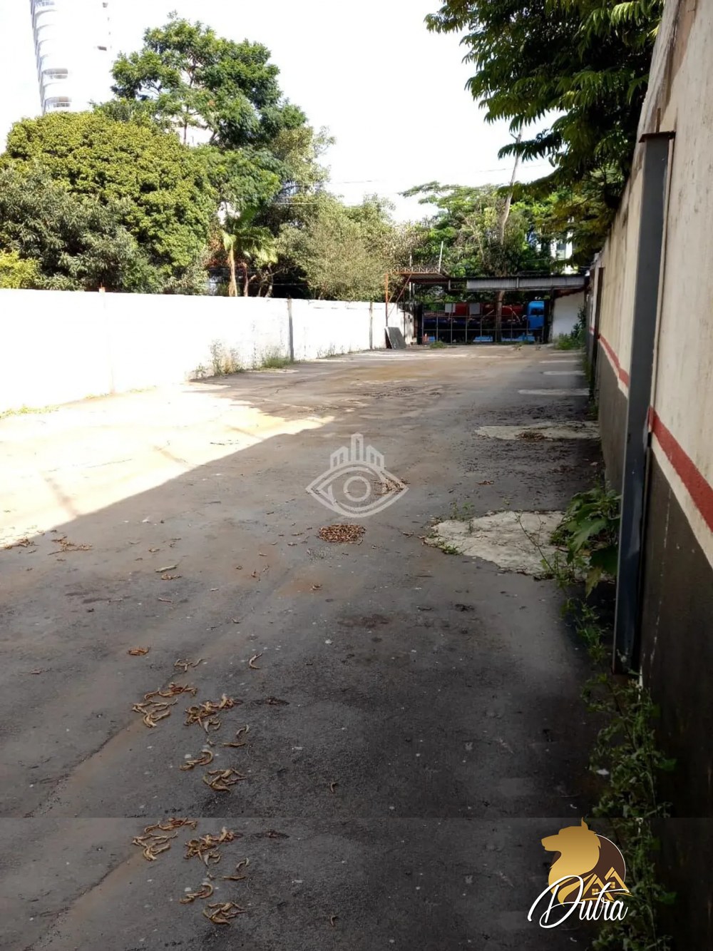 Terreno Padrão Vila Olímpia 425m²