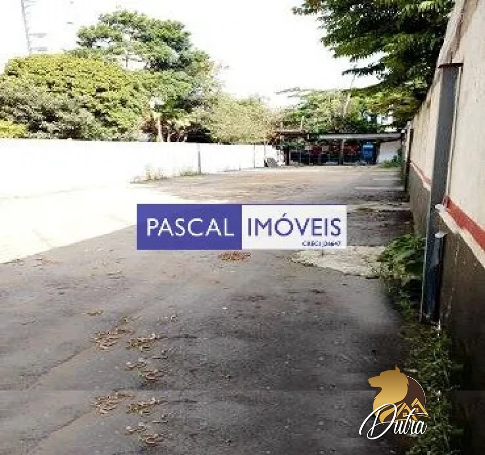 Terreno Padrão Vila Olímpia 425m²
