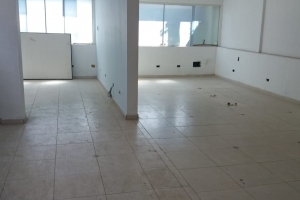 Padrão Vila Monte Alegre 413m² 03 Dormitórios