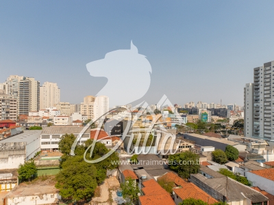 Farroupilha Vila Mariana 138m² 03 Dormitórios 01 Suítes 2 Vagas