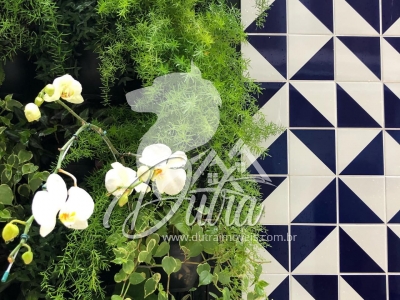 Villa Itaim Itaim Bibi 256m² 03 Dormitórios 03 Suítes 2 Vagas