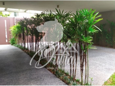 Casa Jardim Paulista 484m² 4 Suítes 6 Vagas