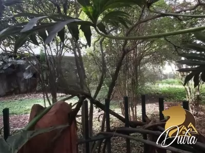 Padrão Jardim Europa 1200m² 04 Dormitórios 01 Suítes 15 Vagas