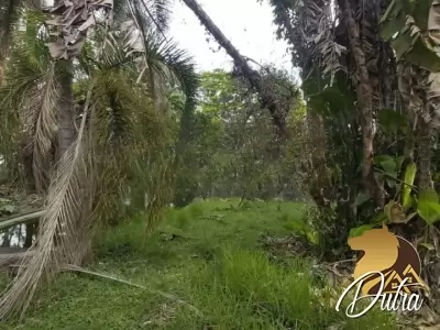 Padrão Jardim Europa 1200m² 04 Dormitórios 01 Suítes 15 Vagas