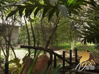 Padrão Jardim Europa 1200m² 04 Dormitórios 01 Suítes 15 Vagas