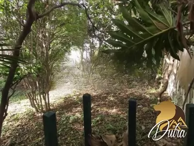 Padrão Jardim Europa 1200m² 04 Dormitórios 01 Suítes 15 Vagas