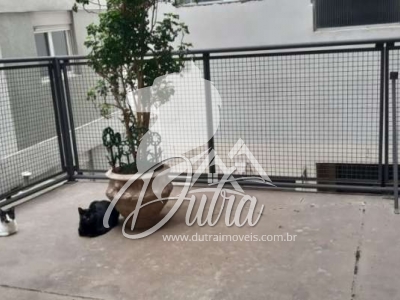 Daisylin Pinheiros 115 m² 3 Dormitórios 1 Suíte 1 Vaga
