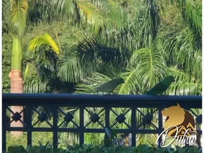 Palais Du Parc Paraíso 375m² 04 Dormitórios 04 Suítes 6 Vagas