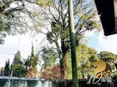 Padrão Jardim Paulista 562m² 04 Dormitórios 01 Suítes 6 Vagas