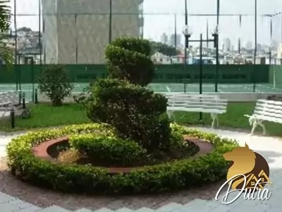 Edifício Monte Carlo Jardim Vila Mariana 214m² 03 Dormitórios 02 Suítes 4 Vagas