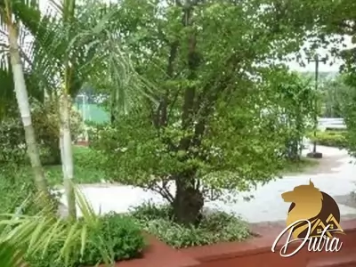 Edifício Monte Carlo Jardim Vila Mariana 214m² 03 Dormitórios 02 Suítes 4 Vagas