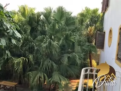 Altair Alto de Pinheiros 185m² 03 Dormitórios 03 Suítes 3 Vagas