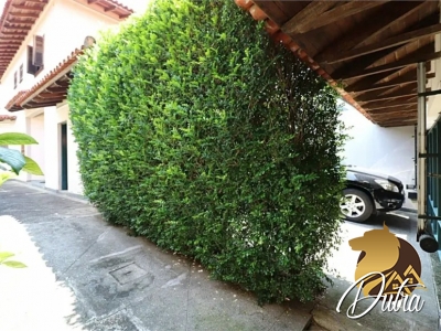 Padrão Vila Madalena 300m² 04 Dormitórios 02 Suítes 4 Vagas